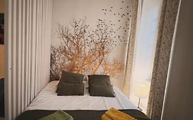Cocoon
